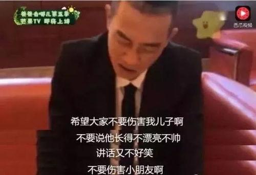 进娱乐圈需要什么,必备条件与成功秘诀全解析