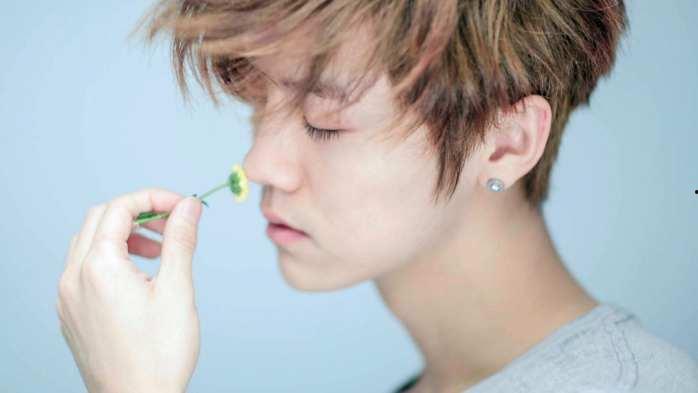 网胳明星圈,璀璨星途背后的故事与风云变幻