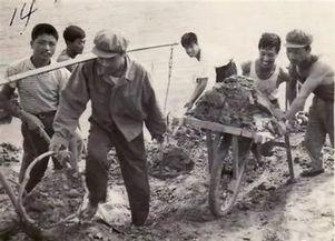 知青上山下乡图片,知青上山下乡的青春岁月