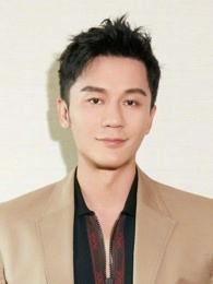 明星李晨个人资料