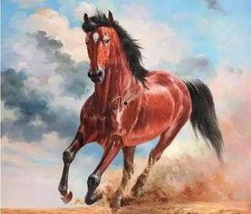 汗血宝马的资料,传奇名驹的历史与传奇