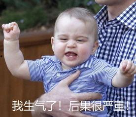 乔治王子表情包英语,George the Prince: A Royal Face for the Digital Age