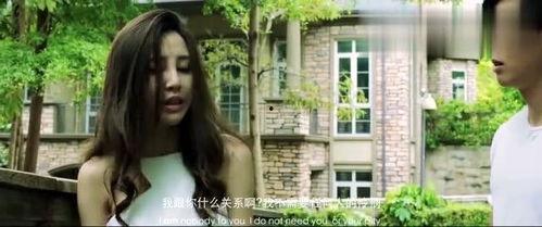 娱乐身心电影,娱乐身心电影大盘点